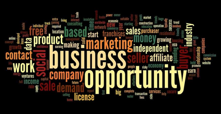 What Are Some Dropshipping Business Opportunities?