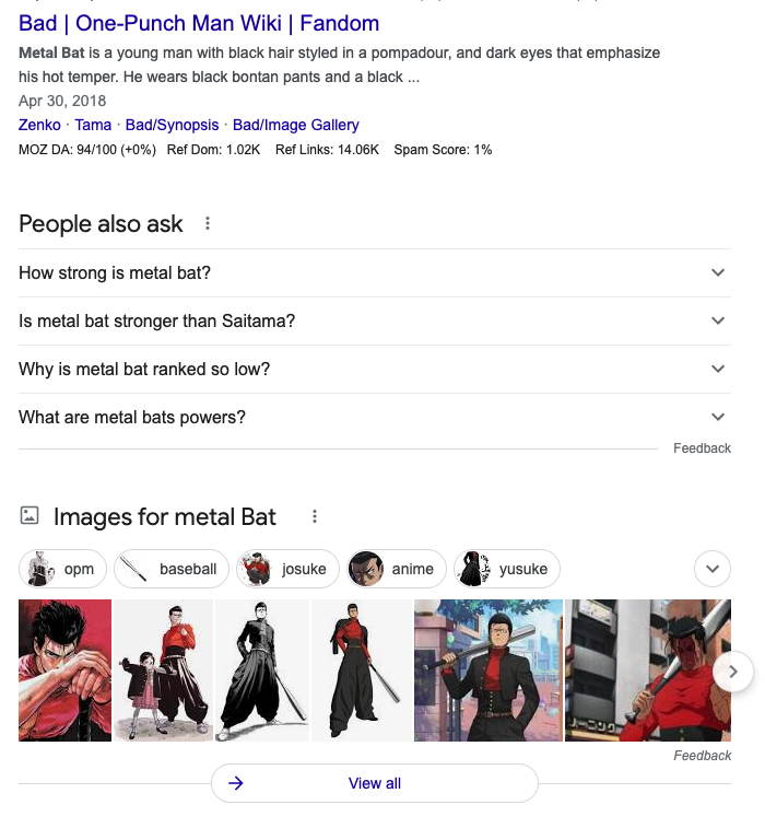 Google search results that display for the term "metal bat"