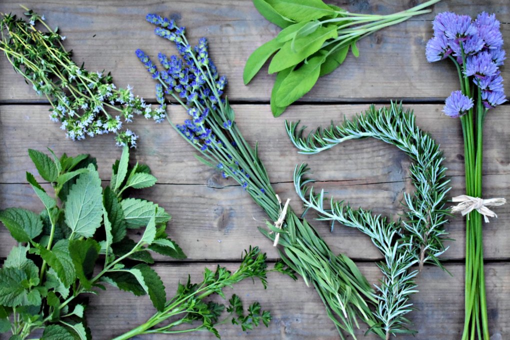 Top Herb Brands You Should Online