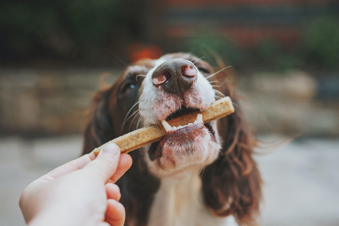 Are There Wholesale Treats For Dogs On A Diet?